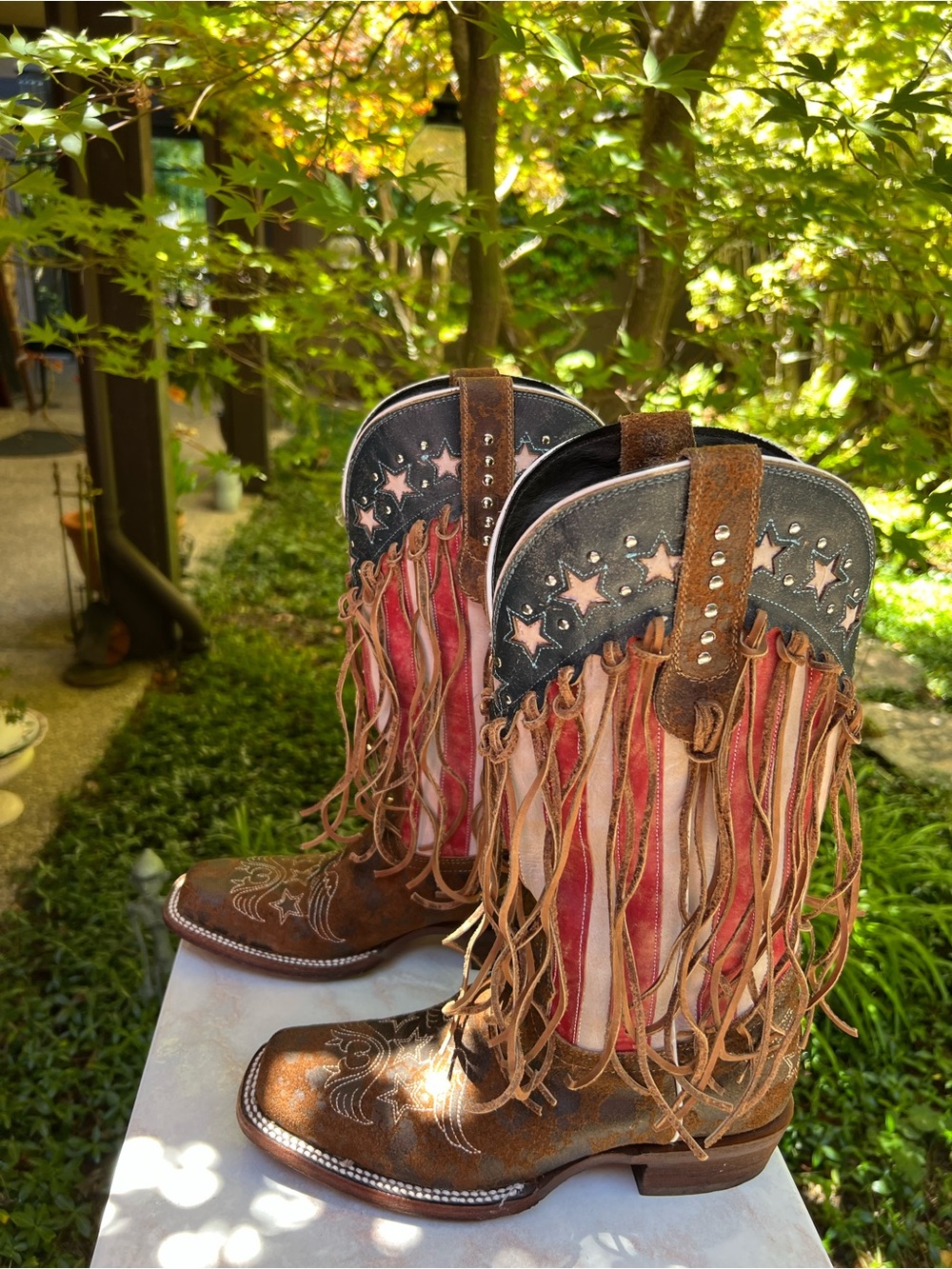 Blazing Star Women’s Western Boot by J.B. Dillon